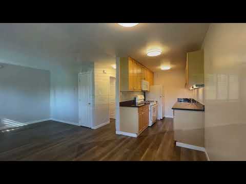 Seminary, 449-479* - Video 2 of 2