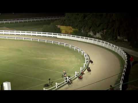 2020.07.10. 05. futam - July Trophy Open 2. futam