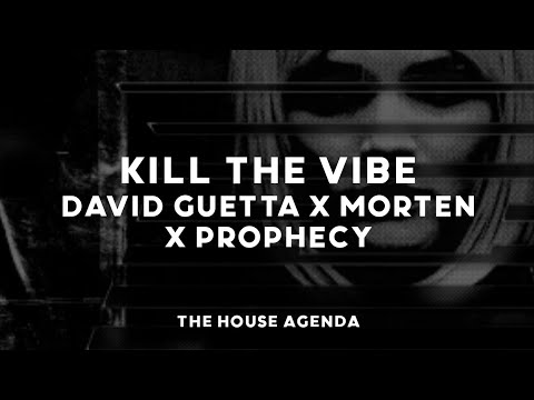 David Guetta x MORTEN x Prophecy - Kill The Vibe