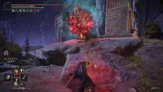 ＃エルデンリング ＃生放送＃ブリーチ＃4週目　　死神代行黒崎一護ルート攻略　ロールプレイ