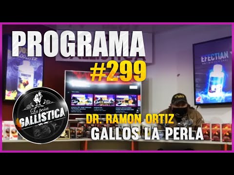 programa 299-En opinion de Ramon Ortiz