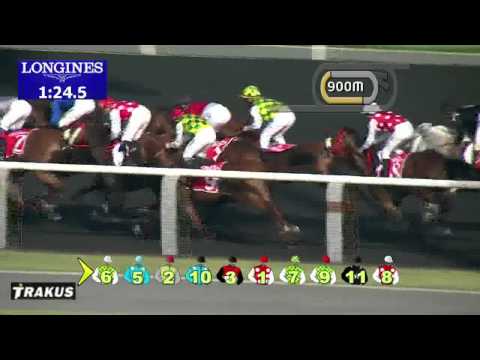 08.03.2014 Meydan (Dubai-UAE) 1.Race Al Maktoum Challenge R3 2014 - Group I 2.000 m