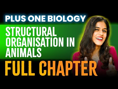 +1 Biology Onam Exam | Chapter 7 | Structural Organisation In Animals | Oneshot | Exam Winner +1