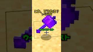 Lv255にした結果がこちら【マイクラ】