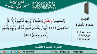 معنى (الصبر) وفضله للشيخ الشنقيطي - مشروع كبار العلماء image