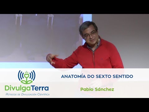 Vídeo: Anatomía do sexto sentido