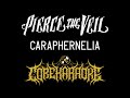 Pierce The Veil Caraphernelia Karaoke Instrumental