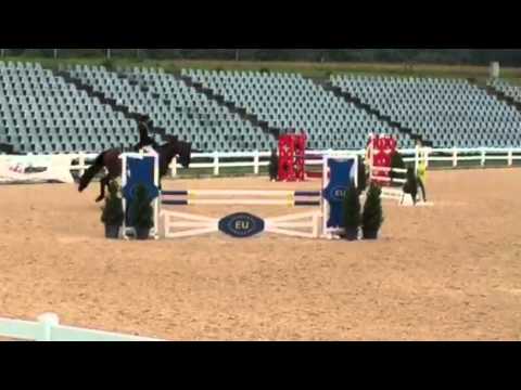 Cor de Lord by Cor de la Bryere-Lord Z, 4y old, 6/15