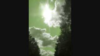 Die Toten Hosen Nur zu Besuch Instrumental