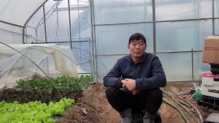 고추 탄저병,역병 안걸리게 하고 걸릴경우 치료방법은?