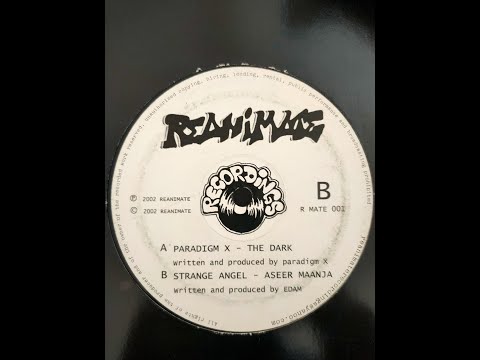 THE DARK - PARADIGM X - REANIMATE RECORDINGS