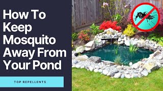 How To Keep Mosquitoes Away From Your Pond (100% Working Methods) - Top Repellents