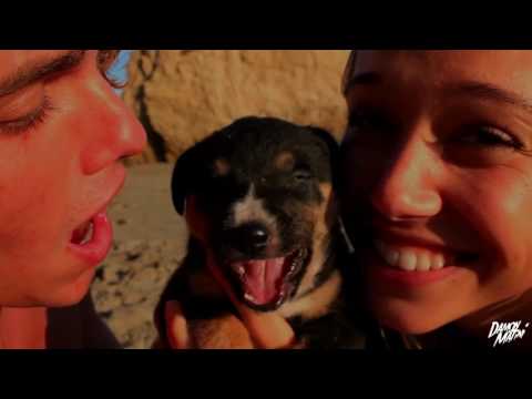 Rush Sounds - Every Time the Sun Goes Up ft. Lisa Eaton (Official Music Video)