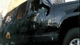 Rage-defenders of the ancient life