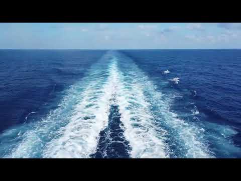 Haullistic - Utopia (Official Video)