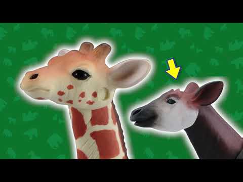 アニア かくれんぼクイズ！【タカラトミーキッズ】 親子で楽しくあんしん | ファミリー | おはなし | animal | 公式 | タカラトミー公式