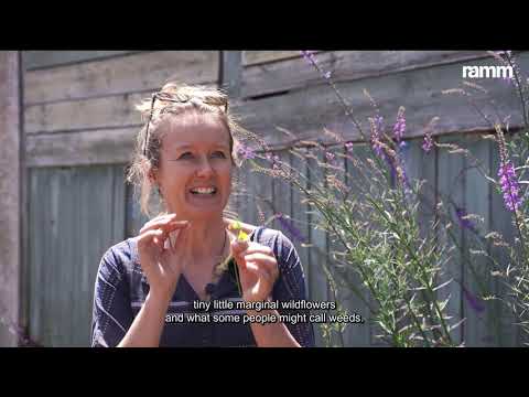 Amy Shelton - Biophilia: The Exeter Florilegium