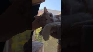 Download lagu Beaker update ♥️ mp3