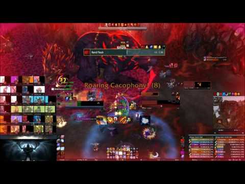 Final Chapter vs Ursoc HM from Ret Paladin PoV