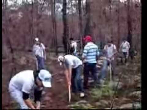 T.E.S.O Tortura Estudiantil Social Obligatoria p1