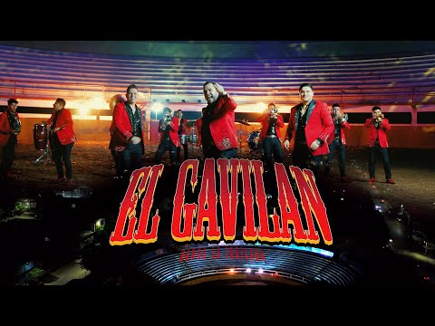 EL GAVILAN - BANDA LA INDICADA