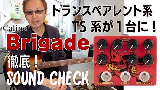 Video thumbnail for Brigade Caline  DCP-07 dual overdrive effector　／　カライン・ブリゲイド　トランスペアレント by Miyawaki Toshiro　宮脇俊郎