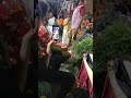 Chennai Mylapore Tiger Sivakumar Saravedi Saran Irangel Song