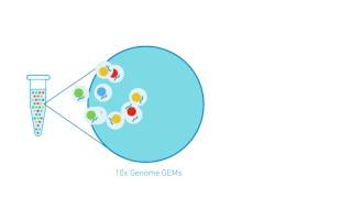 10x Genomics Chromium Genome 系統原理 - 威健生技