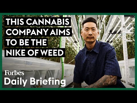Inside Stiiizy, The World’s Best-Selling Weed Brand