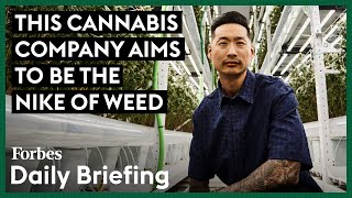 Inside Stiiizy, The World’s Best-Selling Weed Brand