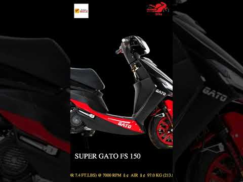 Super Gato FS 150 - Video 2
