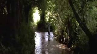 1º de Julho   Legião Urbana