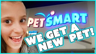 WE GET A NEW PET  🐶!!! | SMELLY BELLY TV | FAMILY VLOG
