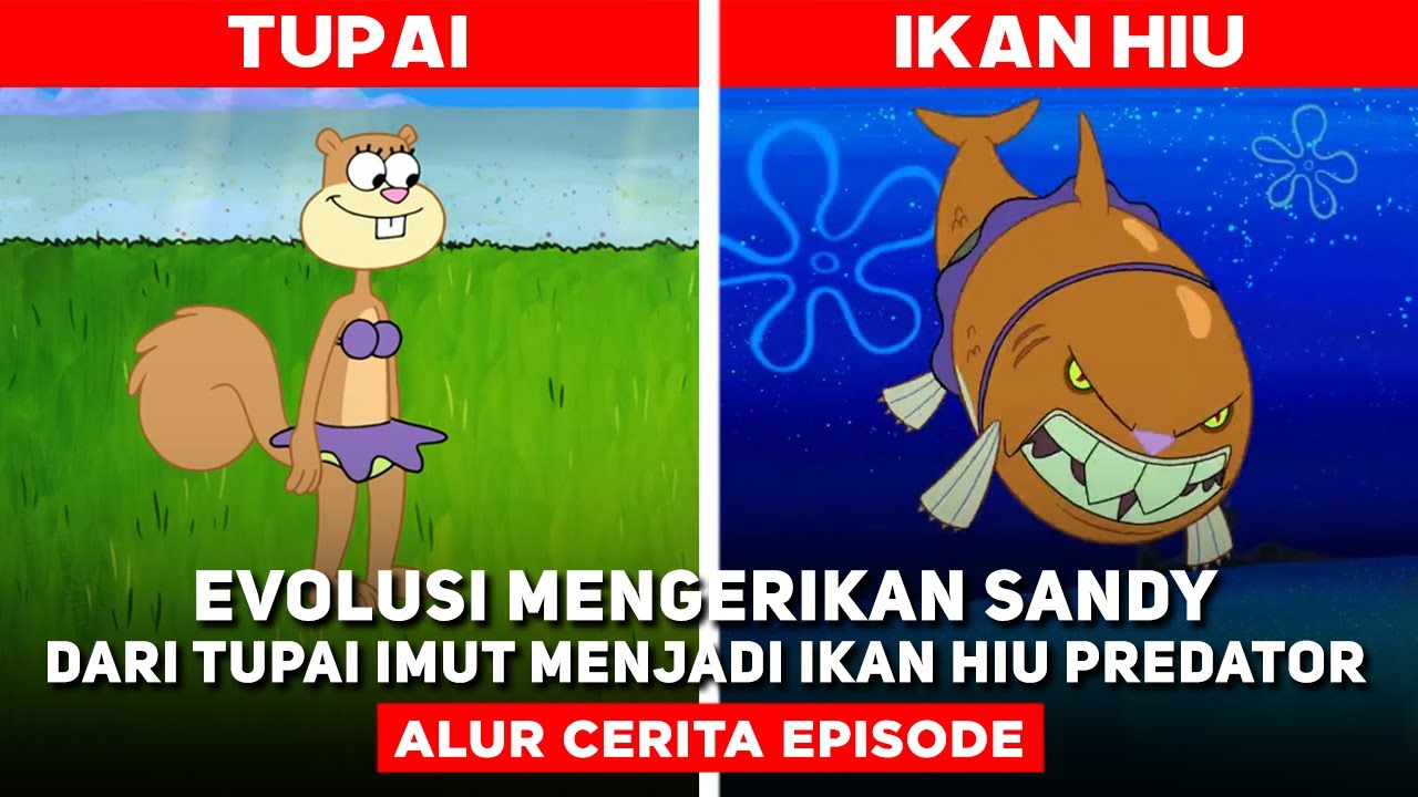 EVOLUSI MENGERIKAN SANDY DARI TUPAI IMUT MENJADI IKAN HIU PREDATOR?!