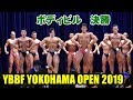 男子ボディビル決勝 / YBBF 横浜オープン 2019 マッスルフェスタ2nd