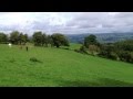 Pony Trekking Team Leaving Tregoyd