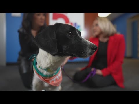 Sammy's Stars: Dec. 12, 2025 - YouTube