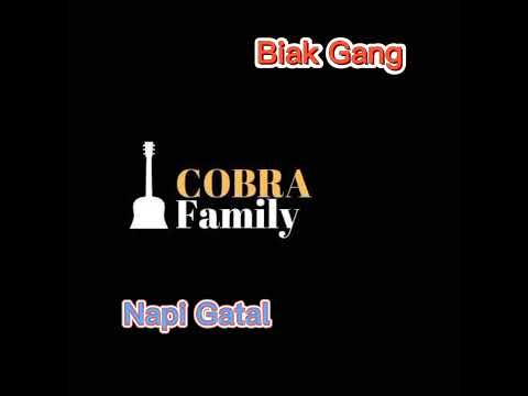 Tagih Janji - Napi Gatal x Biak Gang x Cobra family biak papua