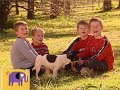 Noggin S Critter Corner Dogs The Wiggles
