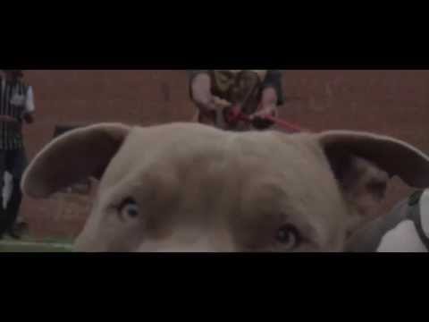 OC Hermo - Fuck Your Block Up (Official Video) Shot By @Foolwiththecamera