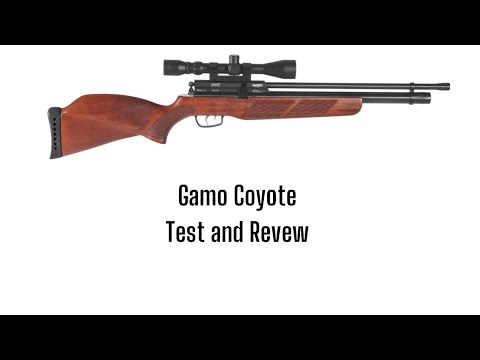 Gamo Coyote Test and Review
