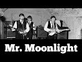 Mr. Moonlight - The Beatles || Lyrics Dan Terjemahan #beatles