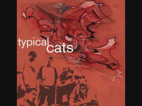 Typical Cats 2001 Full Album