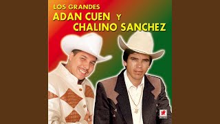 Una Tarde Lyrics English Translation