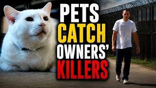 Pets That Helped Catch Their Owners' Killers