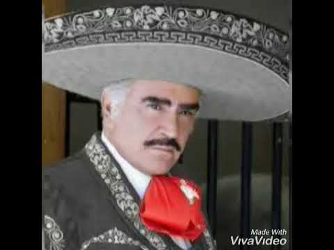 Vicente Fernandez Quisiera saber