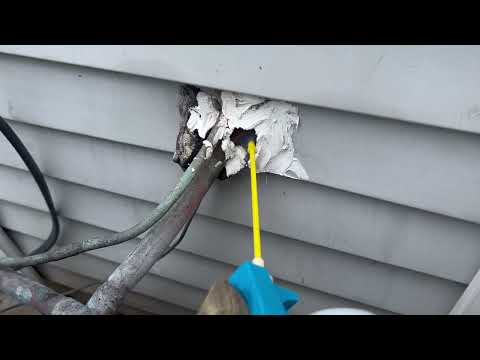 Yellow Jackets Coming From the AC Line in Far Hills, NJ