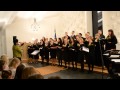 "Muusika" (Pärt Uusberg) - esitab ViiKerKoor 