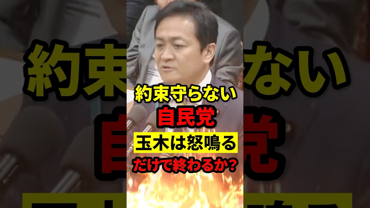 【口だけ減税劇場】玉木雄一郎「暫定税率いつ廃止すんだよ！」←で、あんた政権取る気ある？ #政治 #玉木雄一郎 #もう国民は黙っていない