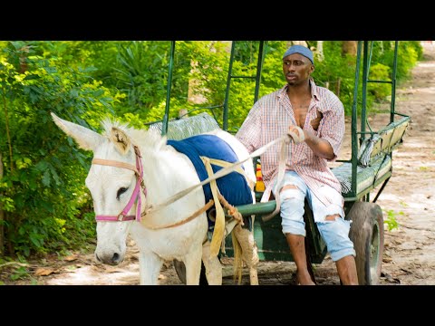 Thumbnail for Success video